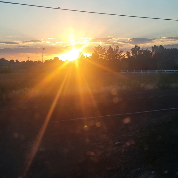 Meet your Posher, Tamara - Picture 3 of 4